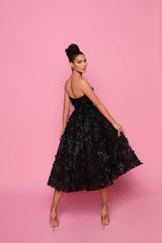 Evening Dress | Jadore Dress NP145 - Morvarieds Fashion
